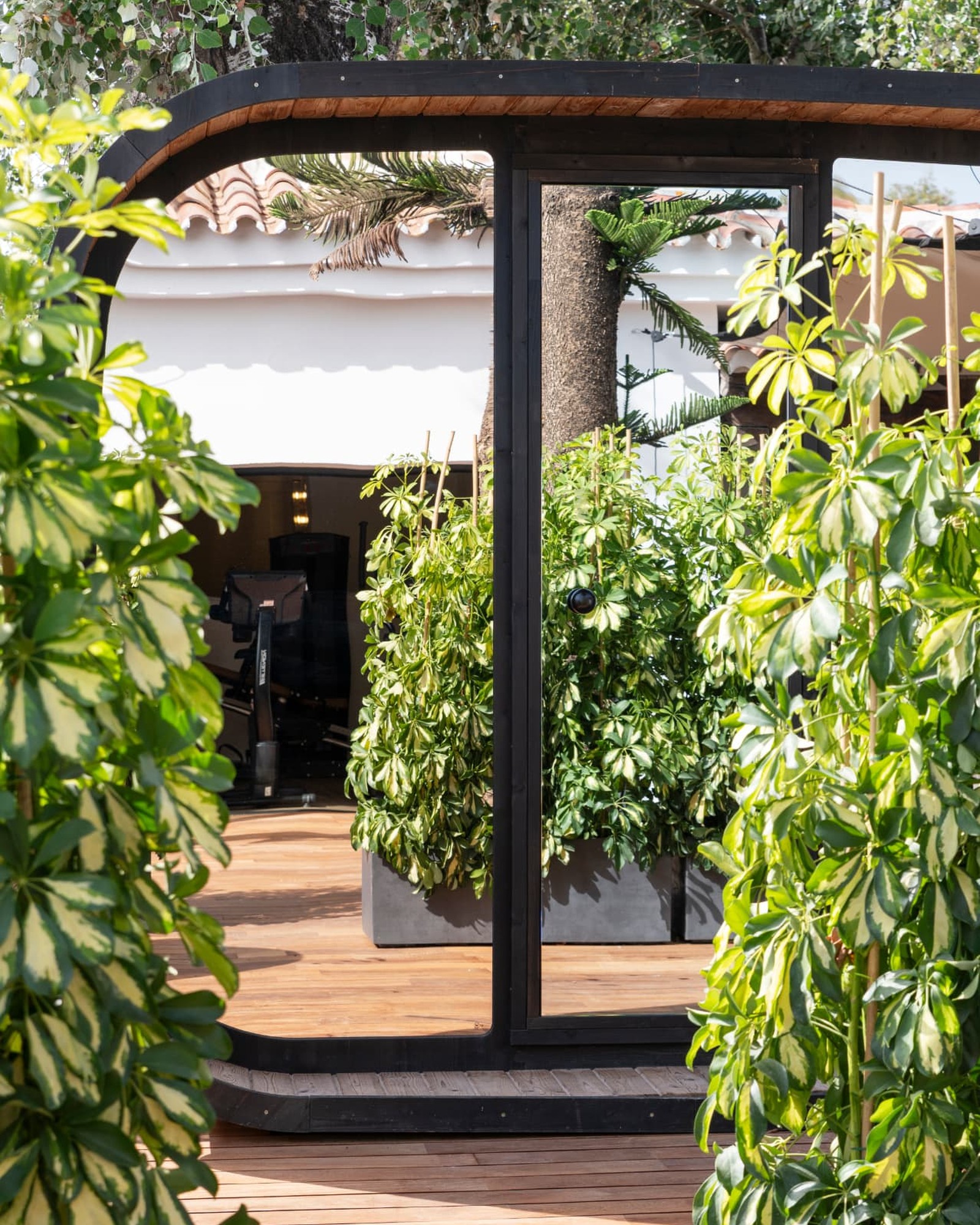 Covered outdoor gym terrace with black-framed pergola, timber decking and tropical planting.